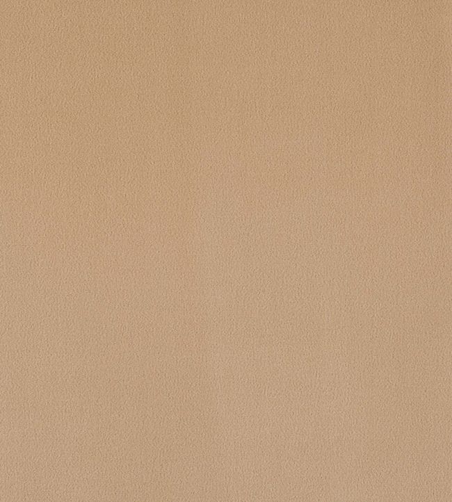 Plush Velvet FR Fabric by Warwick Cafe