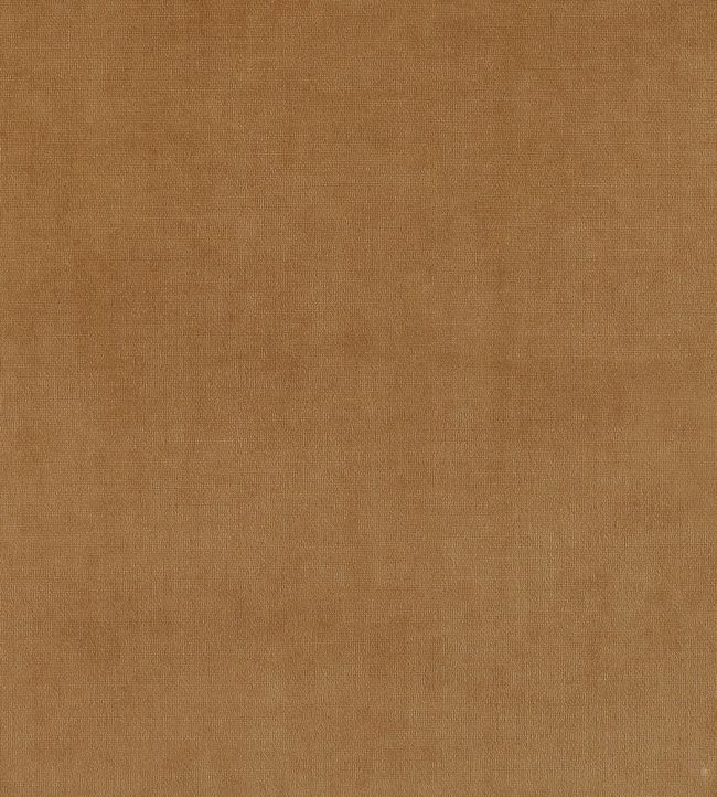 Plush Velvet FR Fabric by Warwick Caramel