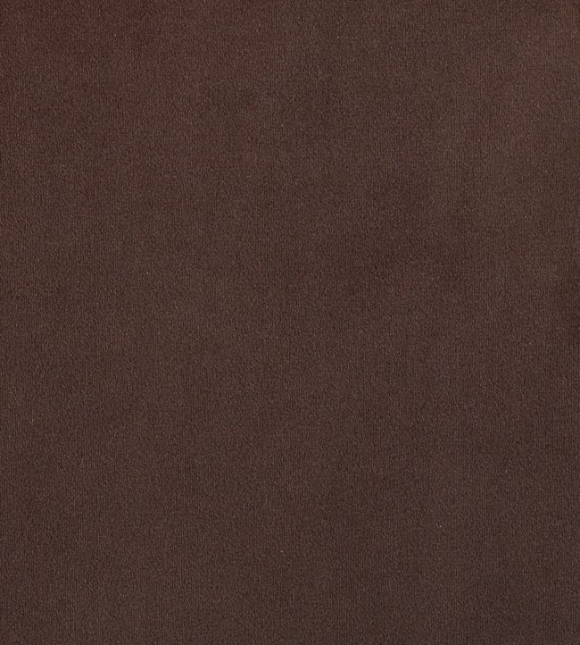 Plush Velvet FR Fabric by Warwick Chocolate
