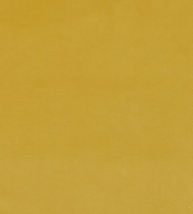 Plush Velvet FR Fabric by Warwick Daffodil