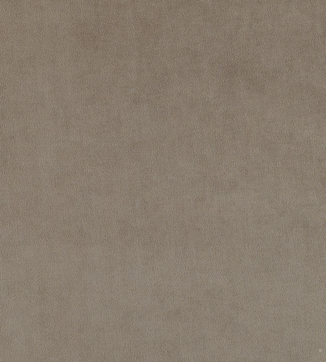 Plush Velvet FR Fabric by Warwick Elephant