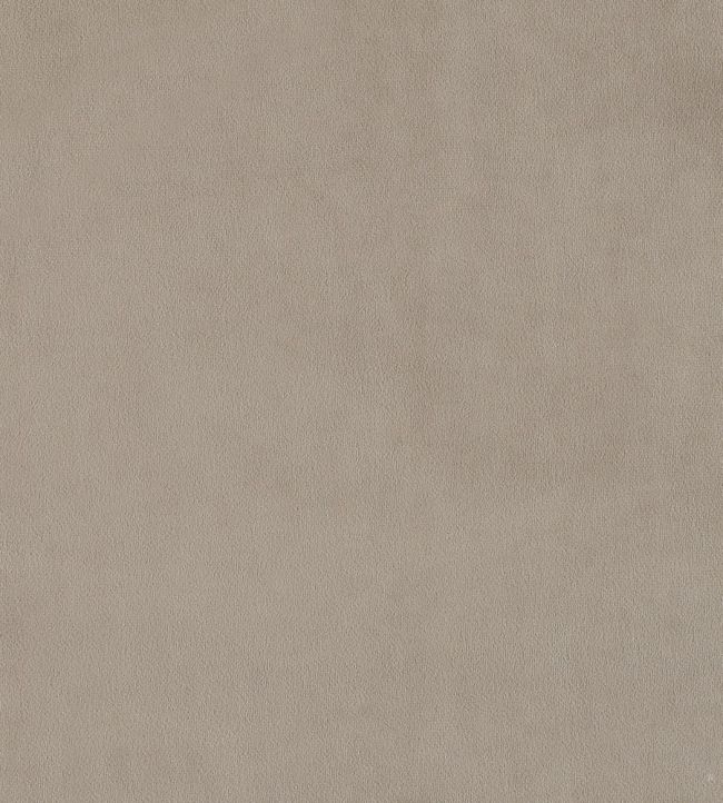 Plush Velvet FR Fabric by Warwick Fog