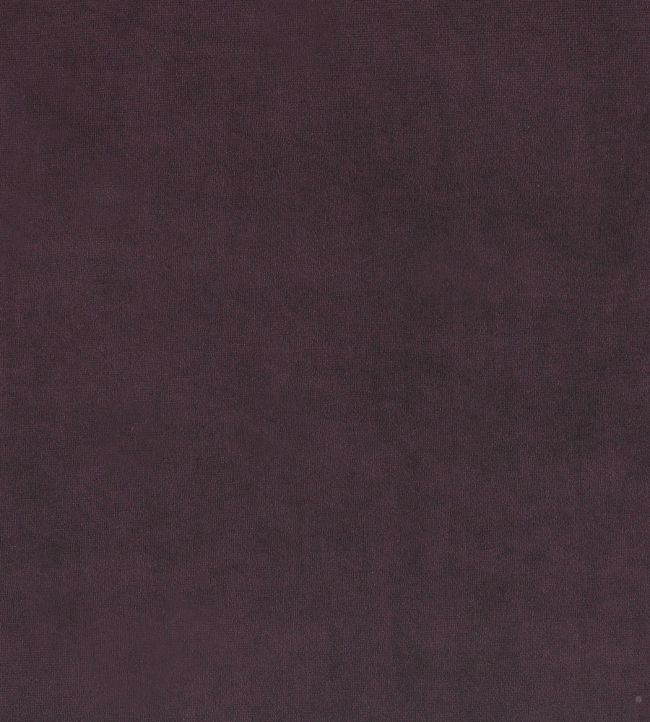 Plush Velvet FR Fabric by Warwick Grape