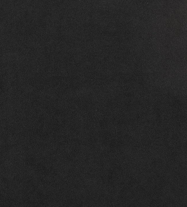 Plush Velvet FR Fabric by Warwick Jet