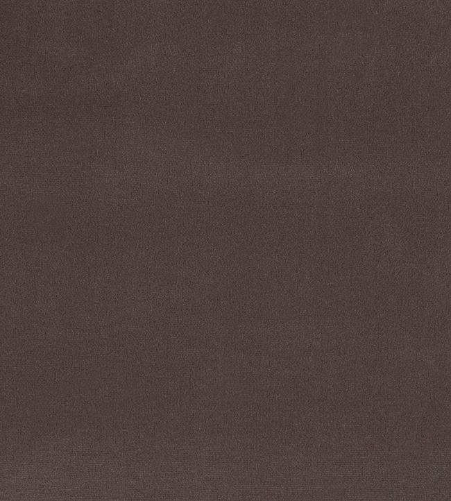 Plush Velvet FR Fabric by Warwick Mole