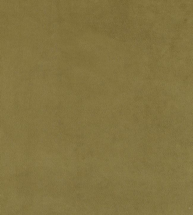 Plush Velvet Fabric by Warwick Moss