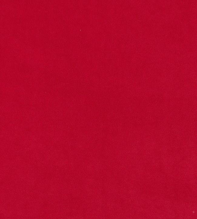 Plush Velvet Fabric by Warwick Pillarbox