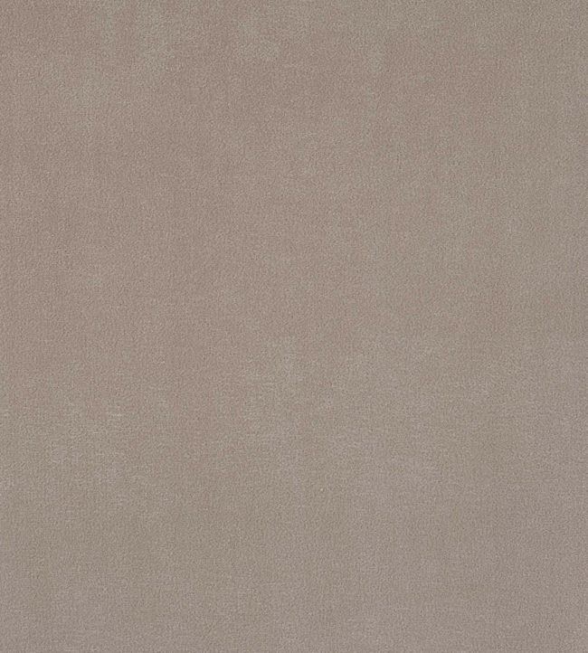 Plush Velvet FR Fabric by Warwick Platinum