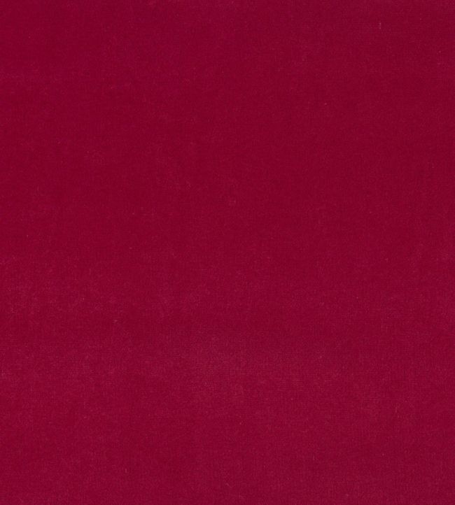 Plush Velvet FR Fabric by Warwick Shiraz