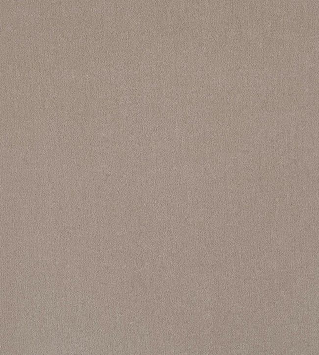 Plush Velvet FR Fabric by Warwick Taupe