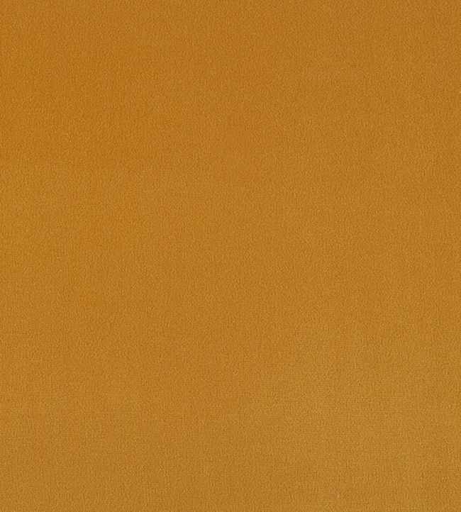 Plush Velvet FR Fabric by Warwick Turmeric