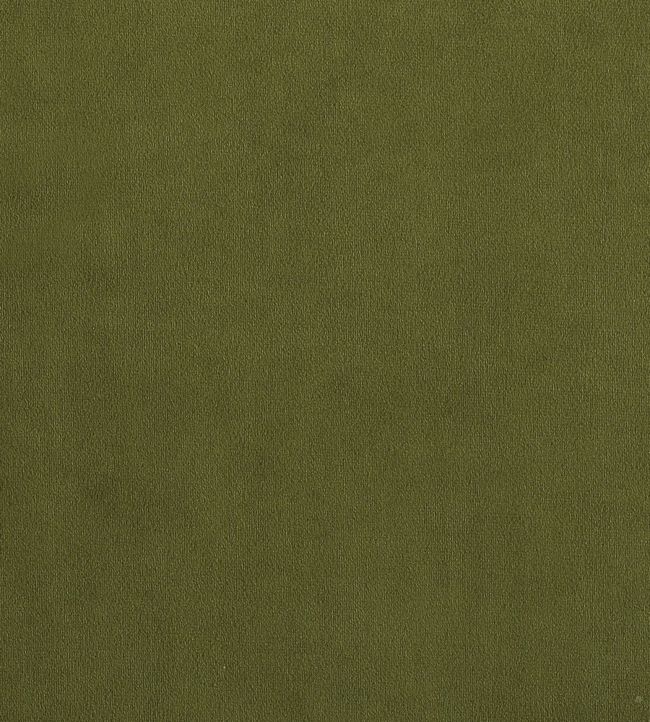 Plush Velvet FR Fabric by Warwick Vine