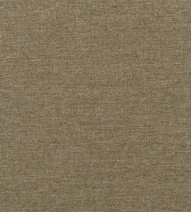 Watkin Fabric by Designers Guild Retro Olive