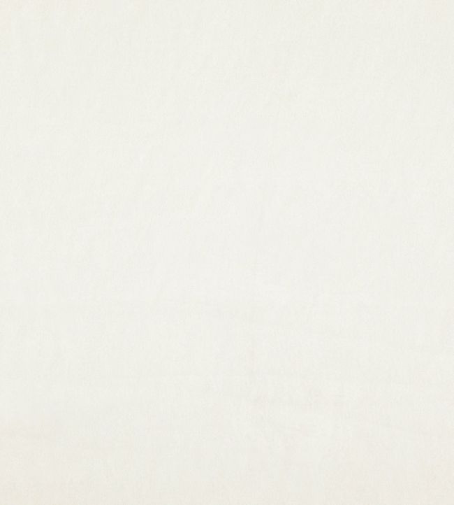Cologne Fabric by Wemyss Parchment
