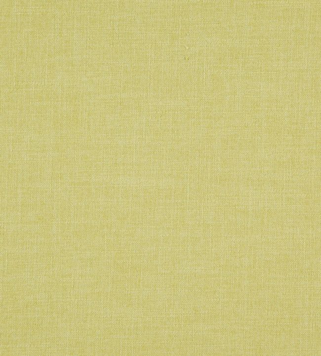 Braemar Fabric by Wemyss Pistachio