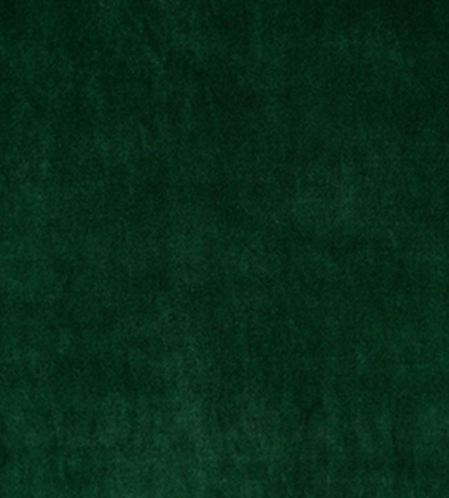 Riga Fabric by Wemyss Spruce