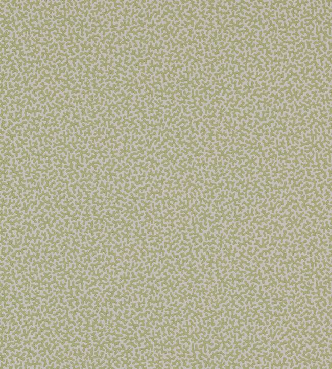 Wendle Wallpaper by Colefax and Fowler Leaf