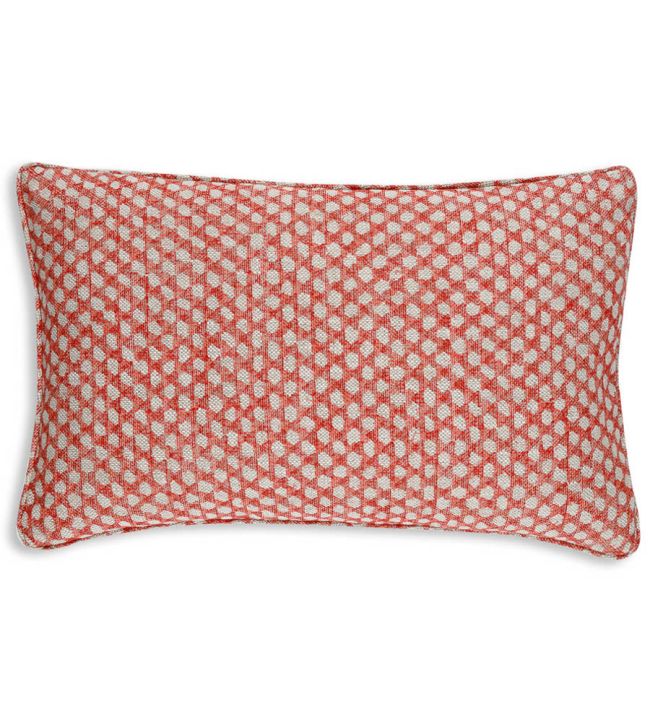 Fermoie Cushion in Back to the Fuchsia - Main Image
