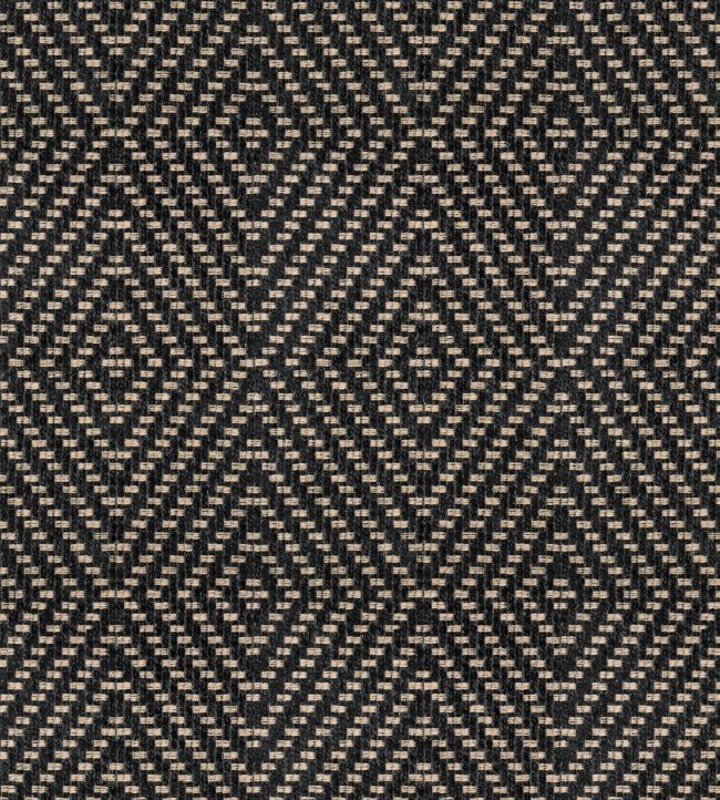 Wicker FR Fabric by Warwick Ebony