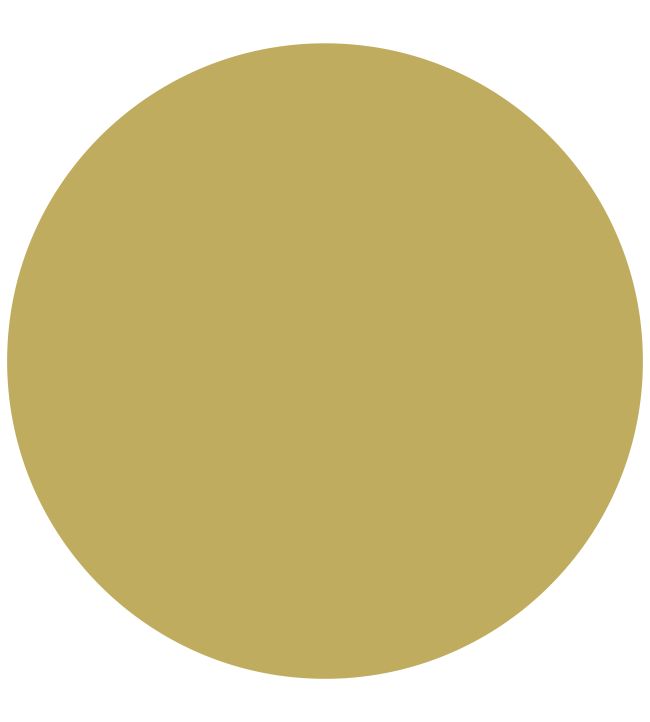 Sanderson Woodland Yellow WaterBased Eggshell Paint Jane Clayton