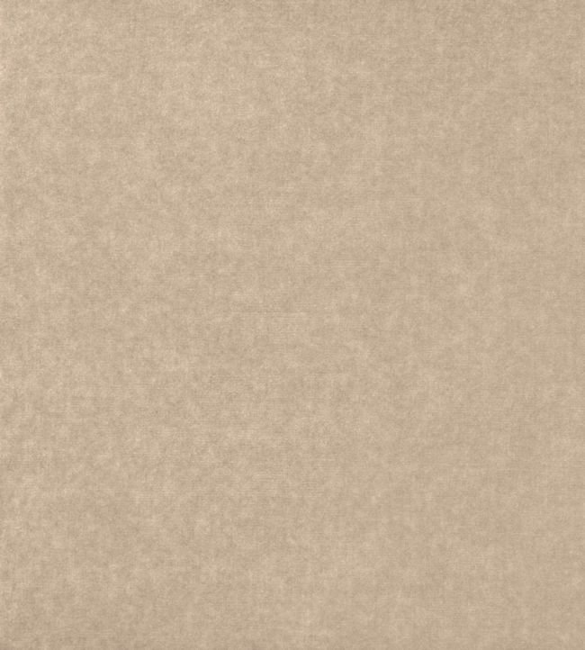 Crillon Fabric by Zinc in Gazelle Jane Clayton