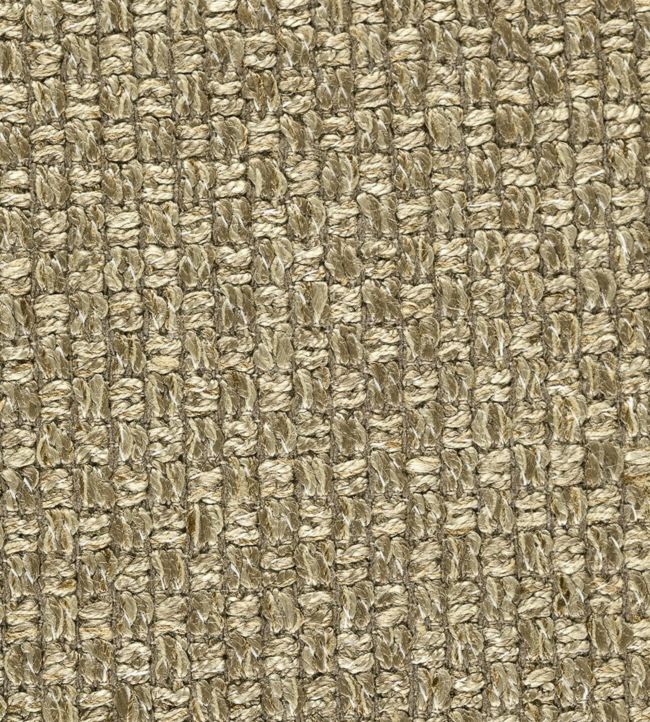 Atticus Fabric by Zoffany in Walnut Jane Clayton