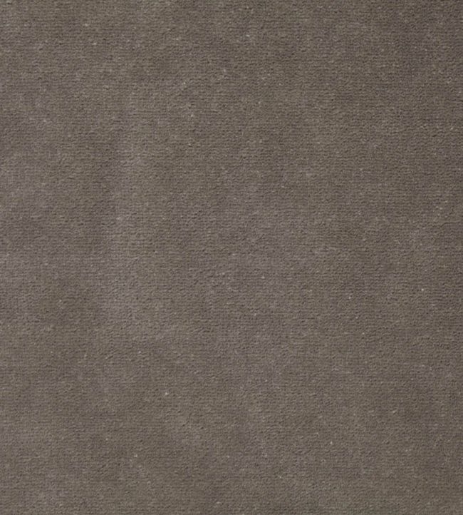 Zoffany FR Velvet Fabric by Zoffany Pewter