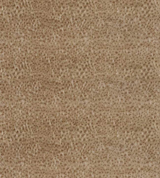 Wallis Velvet Fabric by Zoffany Antelope