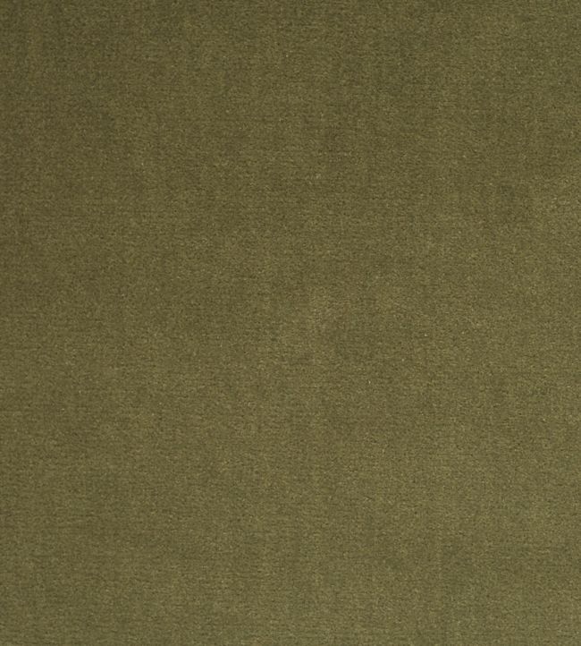 Quartz Velvets Fabric by Zoffany in Olive Jane Clayton