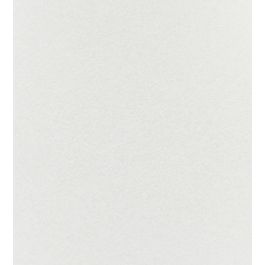 Shellac Wallpaper by Anthology in Alabaster | Jane Clayton