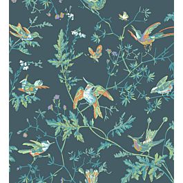 Hummingbirds Wallpaper by Cole & Son in 4014 | Jane Clayton