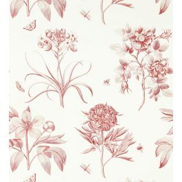 sanderson amanpuri etchings