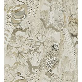 mulberry