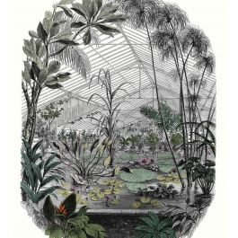 Jardin D’hiver Wallpaper Mural in Multicouleurs by Caselio | Jane Clayton