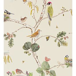 sanderson woodland chorus
