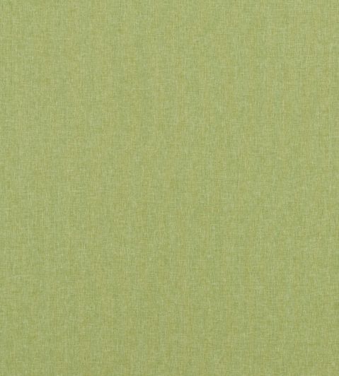 Carnival Plain Fabric by Baker Lifestyle Grass