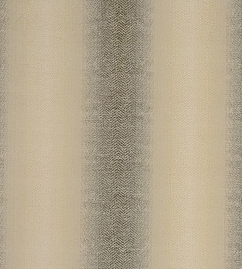 Antico Fabric by Clarke & Clarke Charcoal