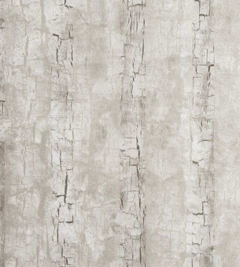 Tree Bark Wallpaper by Clarke & Clarke Birch