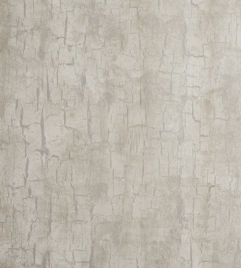 Tree Bark Wallpaper by Clarke & Clarke Parchment