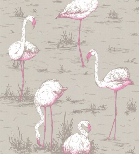 Flamingos Wallpaper by Cole & Son 42