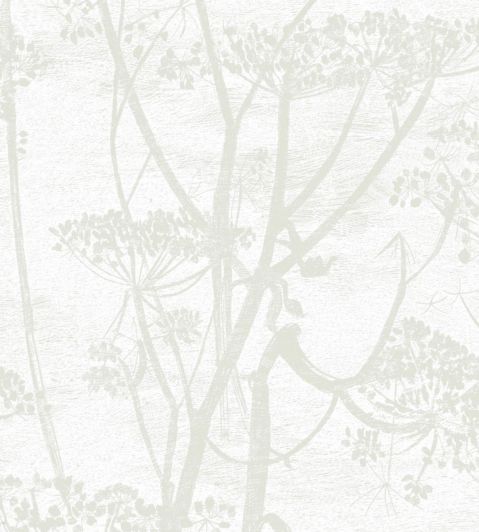 Cow Parsley Wallpaper by Cole & Son Pale Neutral Grey