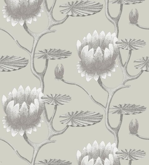 Summer Lily Wallpaper by Cole & Son 25