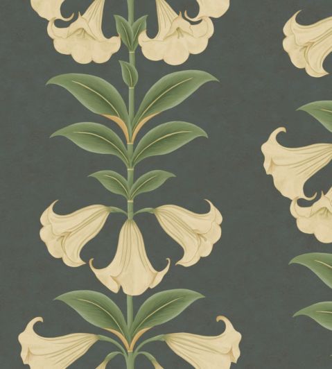 Angels Trumpet Wallpaper by Cole & Son 3006
