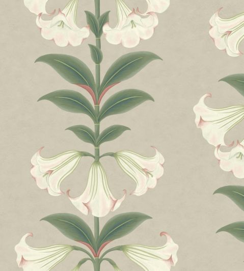 Angels Trumpet Wallpaper by Cole & Son 3007