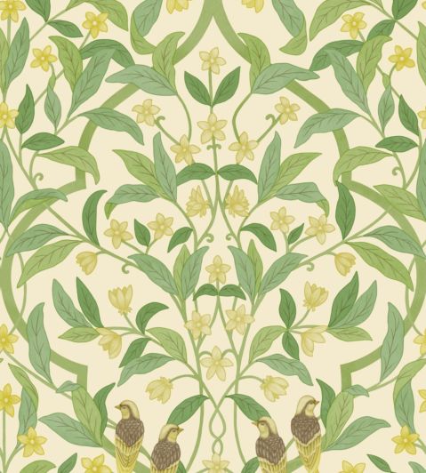 Jasmine And Serin Symphony Wallpaper by Cole & Son 10031