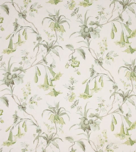 Datura Fabric by Colefax and Fowler Leaf Green