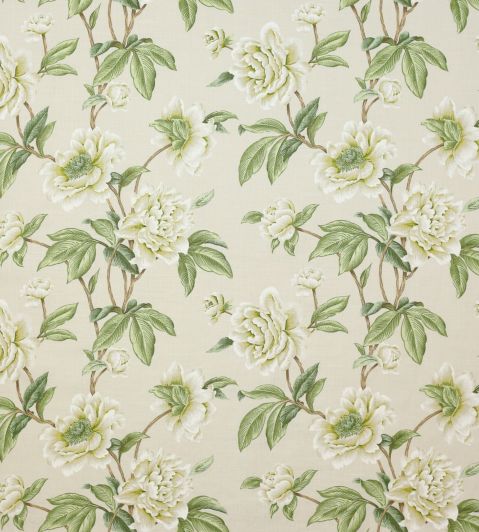 Giselle Fabric by Colefax and Fowler Ivory