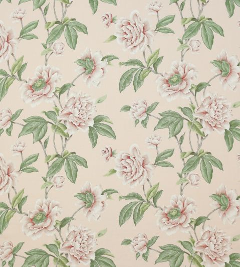 Giselle Fabric by Colefax and Fowler Shell Pink
