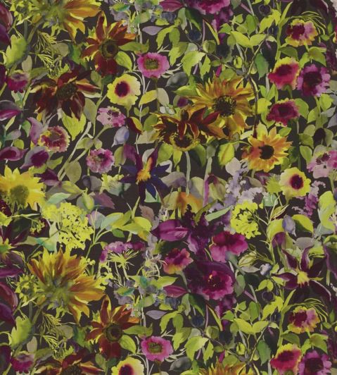 Indian Sunflower Fabric by Designers Guild Graphite