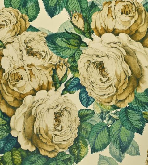 The Rose Wallpaper by Designers Guild Sepia